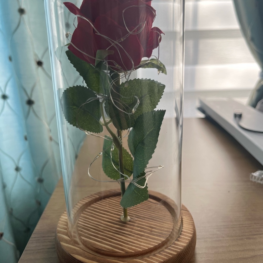 Enchanted Red Rose in Glass Dome-Lights Up 💡 - Picture 2 of 4